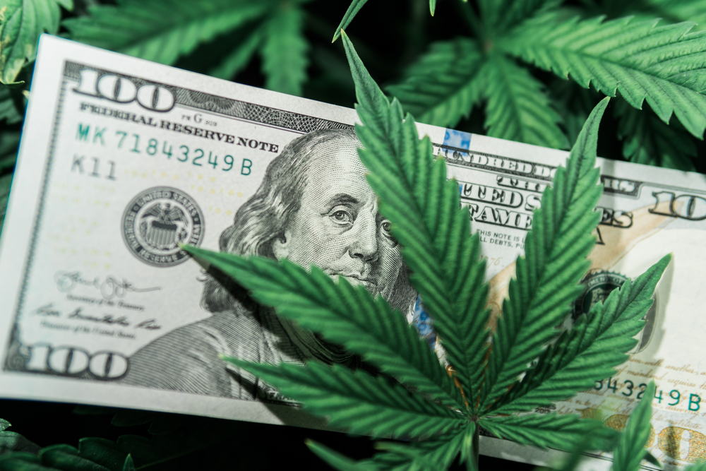 Marijuana Is Booming But It’s No Pot of Gold