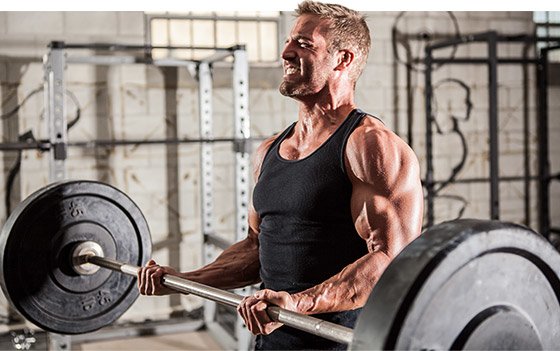 A Comprehensive Guide to Carnosine Beta alanine