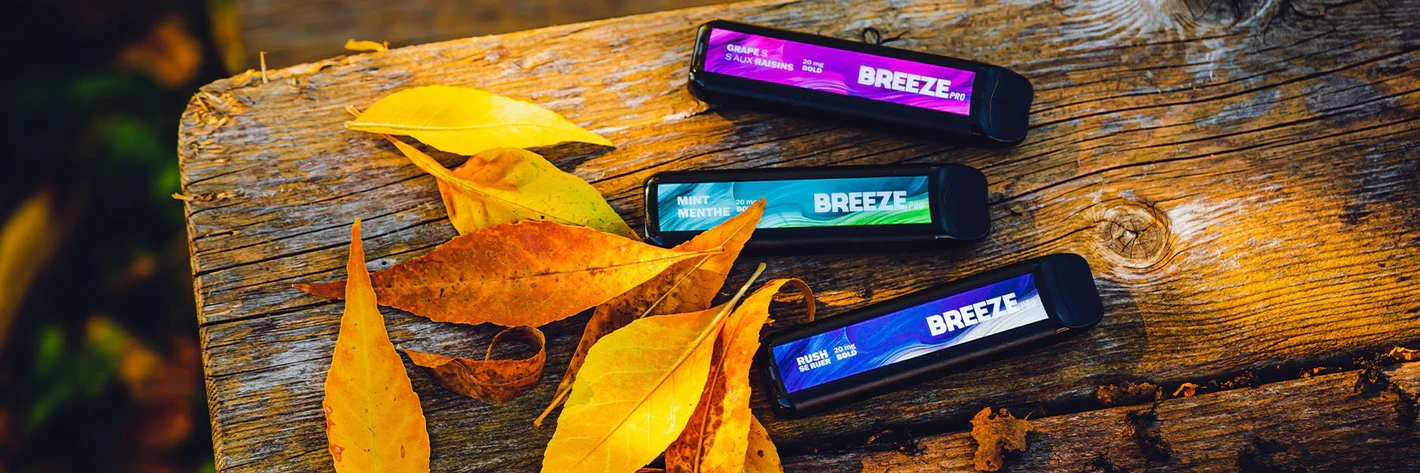 Exploring the World of Breeze Vape: Everything You Need to Know